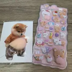 柴犬おなかぷくぷくシール おしりシール3Dシール お腹ぷにぷにシール 動物 ③