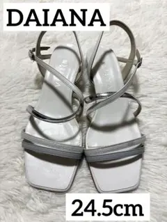 DIANA グレー ストラップサンダル　24.5cm