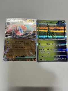 ポケモンカード ゲッコウガex 045/066 RR おまけ