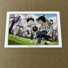 名探偵コナン 歩美 江戸川コナン 元太 光彦 灰原哀 ポストカード