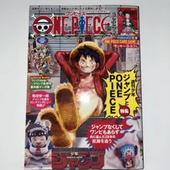 ワンピースマガジン20 付録付き
