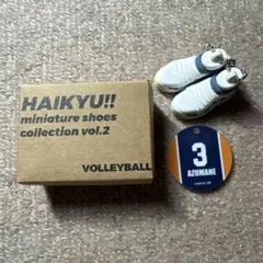 ハイキュー!! ミニチュアシューズコレクション vol.2 東峰旭