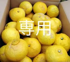 ミア様専用ページです。