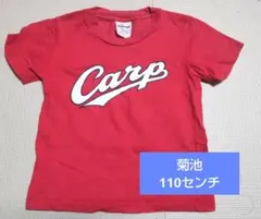 Item thumbnail for item 47a46037-f96f-4bf8-b730-b0ea2b10d9fb