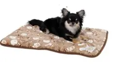 Item thumbnail for item bb261998-4b55-4b03-91de-6a04bdc10abf