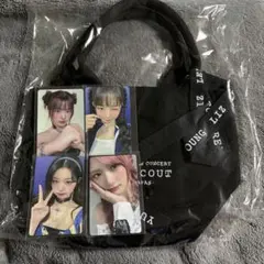 IVE SCOUT vip特典セット