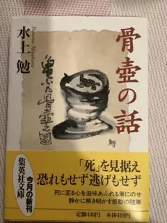 Item thumbnail for item 9c2b10f8-f9fc-4ad6-9d7c-bdd6b577de7a