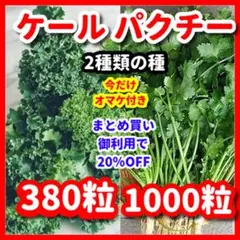★go55★様 リクエスト 2点 まとめ商品