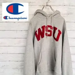 【人気 レア】Champion チャンピオン★デカロゴ 刺繍ロゴ パーカー