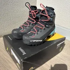 Item thumbnail for item 16d59310-8d52-4a13-9e3f-56337adacaee