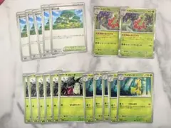 ポケモンカードゲーム ポケカ メガシンフォニア 活力の森 チコリータ 進化ライン