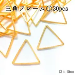 ⭐売りつくし⭐三角フレーム①30pcs