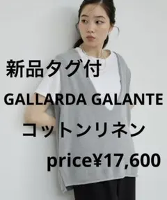新品タグ付 GALLARDA GALANTE【体型カバー】深Vニットプルオーバー