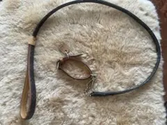 ルイヴィトン 首輪andリード　小型犬用