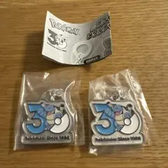 ポケモン 30周年 メタルチャームマスコット