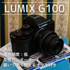 2026年最新】LUMIX G1の人気アイテム - メルカリ