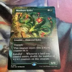 MTG 苔生まれのハイドラ 日本語版foil - メルカリ