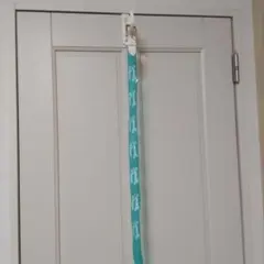 Samantha Thavasa ターコイズベルト