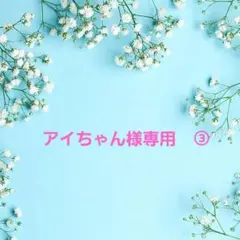 アイちゃん様専用　③