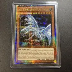 2025年最新】青眼の亜白龍 25thの人気アイテム - メルカリ