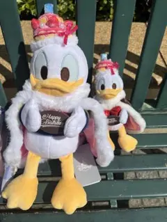 ドナルド ぬいぐるみキーチェーン2点セット DonaldBirthday2026