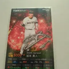 プロ野球チップスカード　坂本　柳田