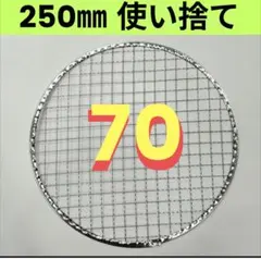 新品]シンポ 平網 280㎜ 焼き網 バーベキュー網 ステンレス - メルカリ