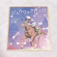 ジュウリョクピエロ 色紙 競馬 Gallop 今村聖奈