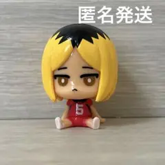 【匿名発送】ハイキュー!! バスボール 孤爪研磨