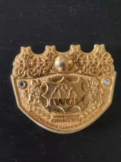 新日本プロレス IWGP世界ヘビー級 プラスチックチャンピオンベルト