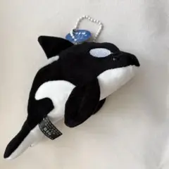 かわいいかわいいぬいぐるみ　シャチ　ぬいぐるみキーホルダー