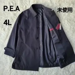 Item thumbnail for item bedb4d8b-96ac-4f09-8aab-16c4d23632e8