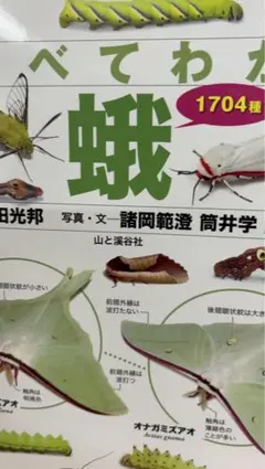 Item thumbnail for item c535d5ac-6ffe-4d83-b9b9-1054cbc1c664