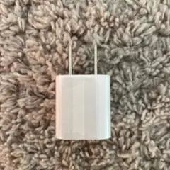 Apple USB アダプター