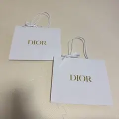 CHRISTIAN DIOR ショップ袋 2枚セット