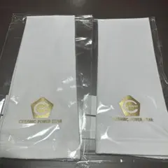 Item thumbnail for item 9116ddab-a65c-4fb3-a4d4-35034646b4eb