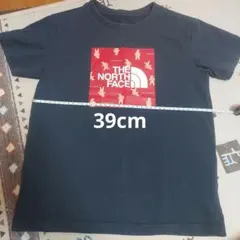 THE NORTH FACE ネイビー Tシャツ