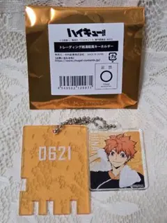 ハイキュー!! × 極楽湯 トレーディング銭湯錠風 キーホルダー 日向翔陽