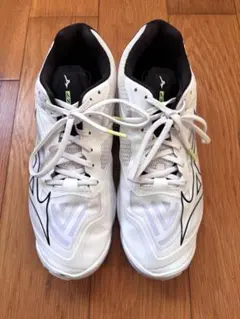 Item thumbnail for item 6fadbf8e-7ece-4fbe-94c2-b88419b01c99