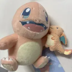 ポケモンセンター　ヒトカゲ　キャンバス　ぬいぐるみ ヒトカゲ キャンバス ぬいぐるみ ポケモンセンター - メルカリ