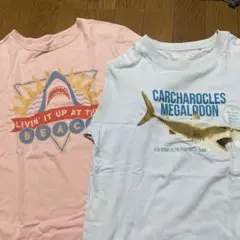 UNIQLO UT GAP サメ柄 Tシャツ 2枚セットのサムネイル