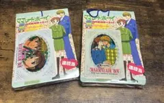 超希少⭐︎平成レトロ 当時品　完全未開封　ママレードボーイ PPカード セット