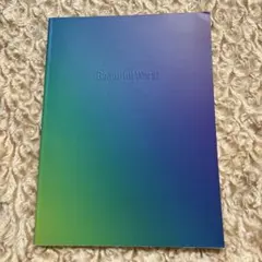 嵐 Beautiful World パンフレット