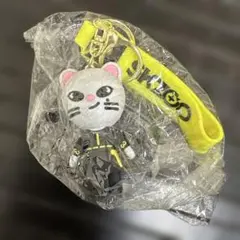 【新品】SKZOO キーホルダー ジニレット