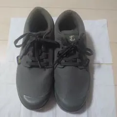 Item thumbnail for item 5b31b92a-aa95-4551-a100-5ac423386925