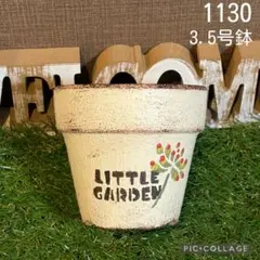 リメ鉢<1103 3.5号 乙女心 多肉植物 シンプル 底穴大きめ リメイク鉢