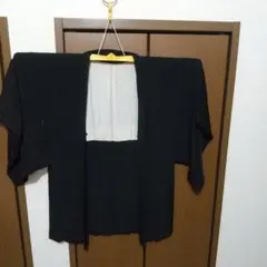 Item thumbnail for item 0e8fb11f-405f-4246-96f5-0c92d6e9f175