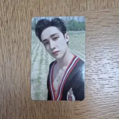 Stray Kids MAXIDENT バンチャントレカ