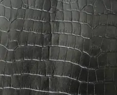 Item thumbnail for item f3cec93c-cb18-471a-ae8f-c6e244ab41c0