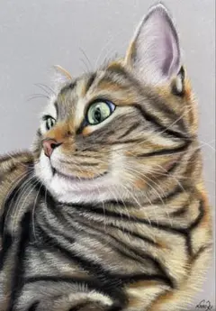 孤高の眼差し 色鉛筆画 - メルカリ